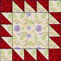 Thanks to Dawn Stewart for these great quilt images
